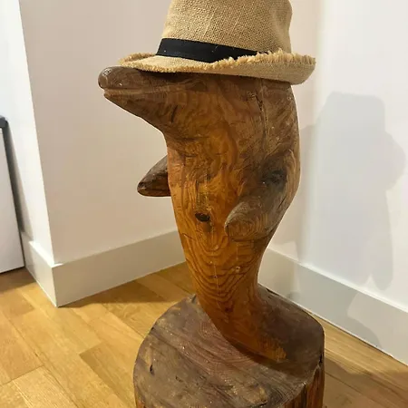 Spacieux 2 Plein Coeur De Διαμέρισμα Περπινιάν